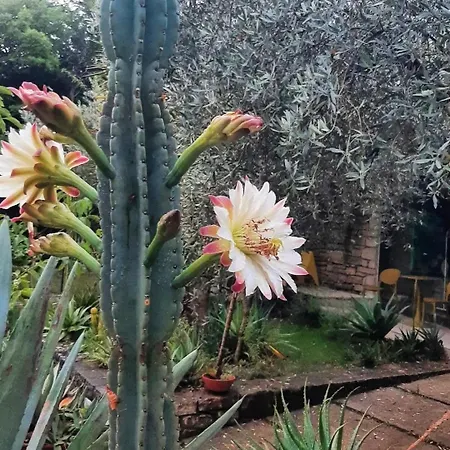 Atelier Dei Ciliegi Casa vacanze Cammarata